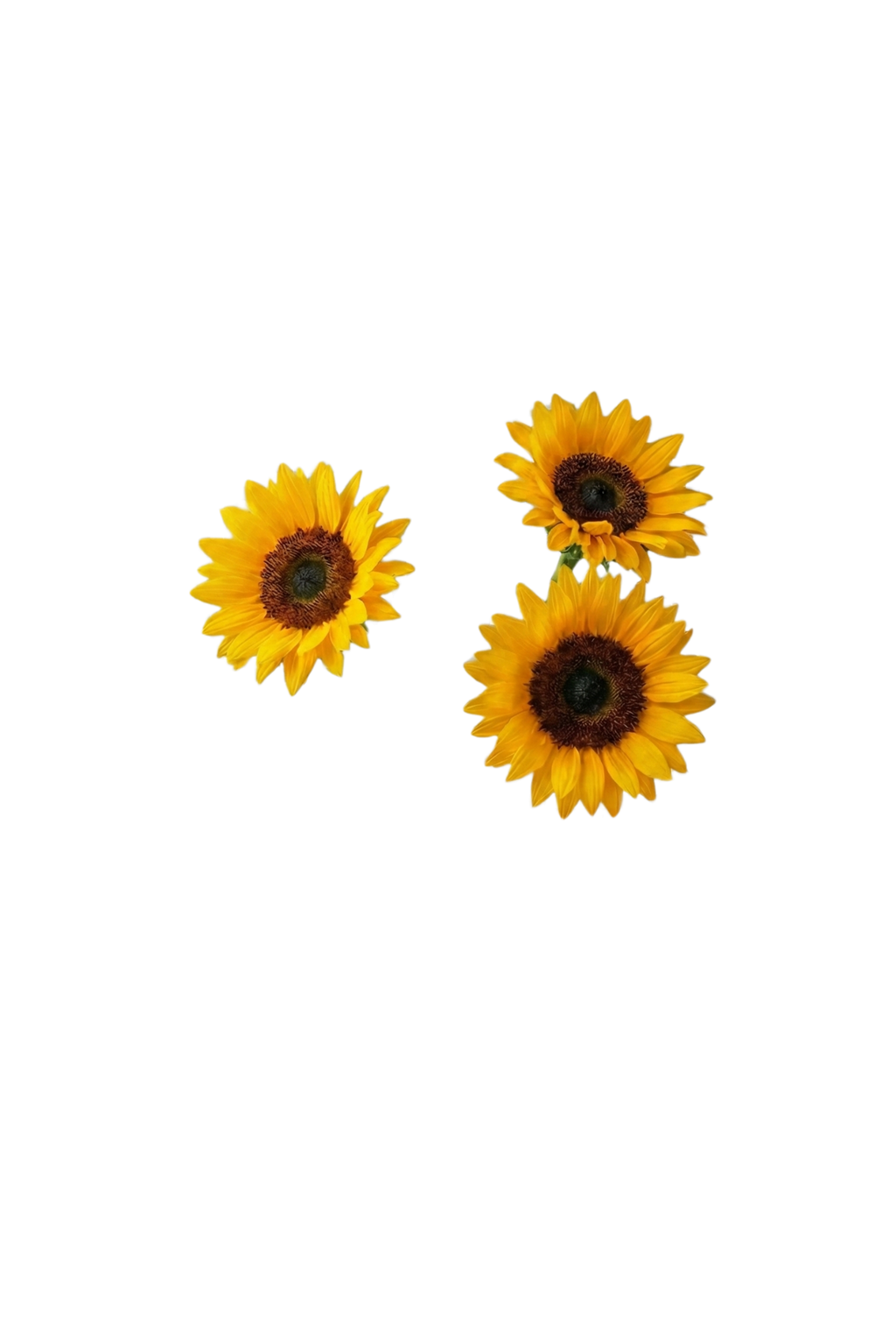 Bee Happy