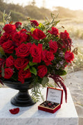 Midnight Rose Signature
