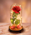 Enchanted LED Rose Dome
